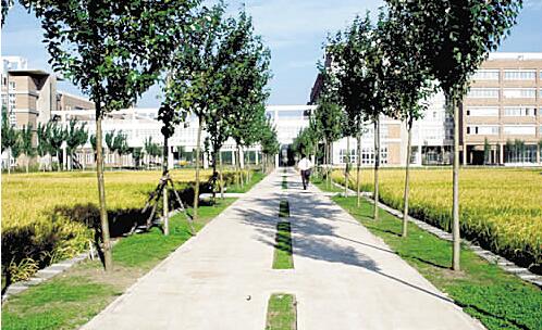 南充廣播電視大學(xué)南部縣分?！鸽姶蟆?></a></div>
          <dl>
              <dt><a href=