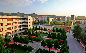 上海市高境第一中學