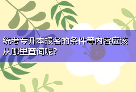 統(tǒng)考專升本報(bào)名的條件等內(nèi)容應(yīng)該從哪里查詢呢？