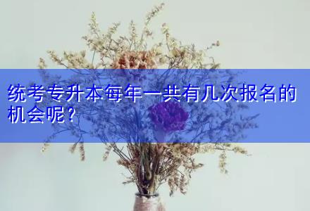 統(tǒng)考專升本每年一共有幾次報(bào)名的機(jī)會(huì)呢？
