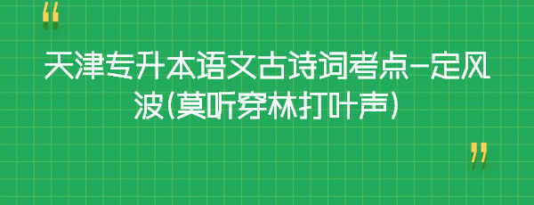 天津?qū)I菊Z(yǔ)文古詩(shī)詞考點(diǎn)-定風(fēng)波(莫聽穿林打葉聲) 天津?qū)I菊Z(yǔ)文古詩(shī)詞考點(diǎn)-定風(fēng)波(莫聽穿林打葉聲)