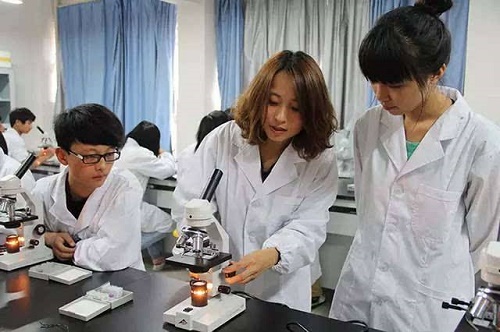 報(bào)考中職學(xué)什么專業(yè)好