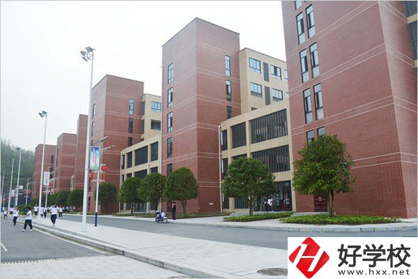 益陽有哪些職高比較有辦學(xué)特色？職高入學(xué)要求高不高？