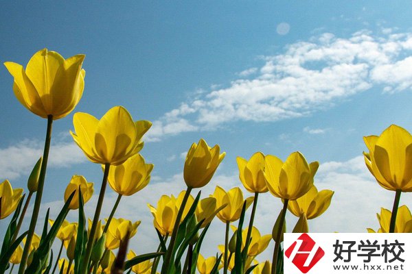 岳陽有開設(shè)工業(yè)機(jī)器人技術(shù)應(yīng)用專業(yè)的中職學(xué)校嗎？