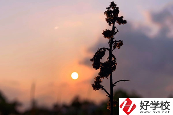 邵陽哈博職業(yè)中專學(xué)校好不好？有什么辦學(xué)特色？