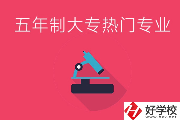 湖南五年制大專最熱門的專業(yè)有哪些？