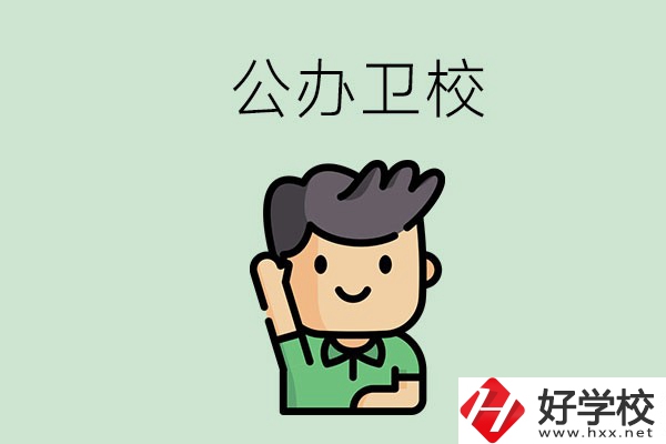 湖南的公辦衛(wèi)校有哪些？這兩所學(xué)校值得推薦！