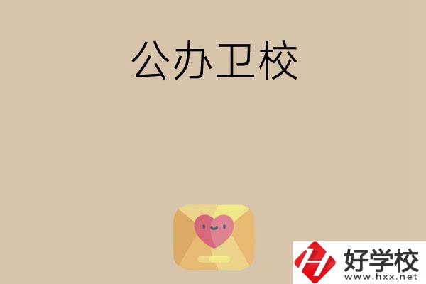 想在湖南上公辦衛(wèi)校？這所學(xué)校值得一看