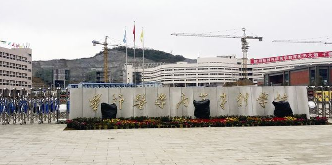 畢節(jié)醫(yī)藥高等?？茖W(xué)校校門(mén)