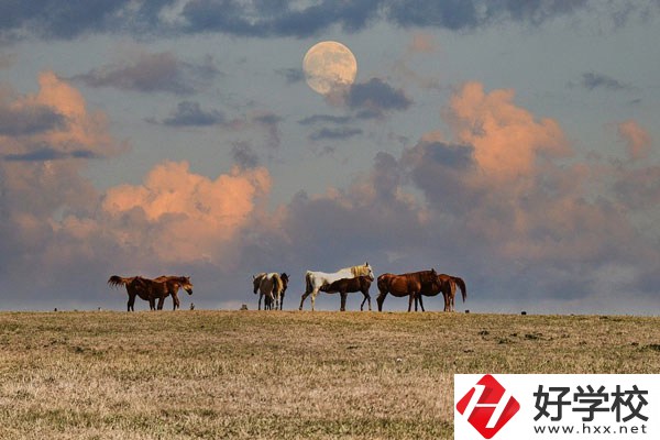 邵陽(yáng)工業(yè)學(xué)校是公辦還是民辦？有什么優(yōu)勢(shì)？