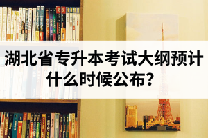 湖北省專升本考試大綱預(yù)計什么時候公布？現(xiàn)階段怎么備考比較好？