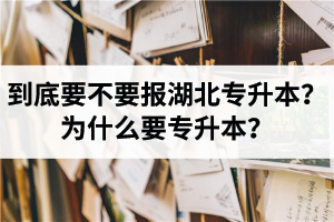 到底要不要報湖北專升本？為什么要專升本？