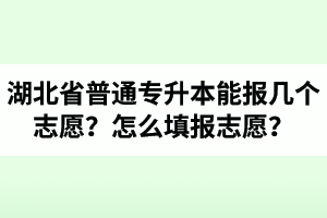 湖北省普通專升本能報幾個志愿？怎么填報志愿？