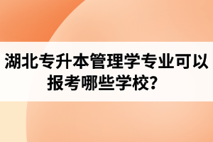 湖北專升本管理學(xué)專業(yè)可以報(bào)考哪些學(xué)校？屬于管理學(xué)的專業(yè)有哪些？