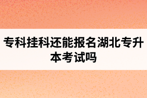 ?？茠炜七€能報名湖北專升本考試嗎？在哪里能獲取最新的專升本資訊？