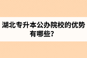 湖北專升本公辦院校的優(yōu)勢有哪些？為什么大家都想報公辦學校？