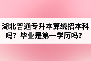 湖北普通專升本算統(tǒng)招本科嗎？專升本學(xué)歷是第一學(xué)歷嗎？