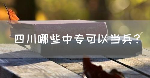四川哪些中?？梢援?dāng)兵？(圖1)