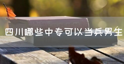四川哪些中?？梢援敱猩?圖1)