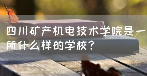 四川礦產(chǎn)機電技術學院是一所什么樣的學校？(圖1)
