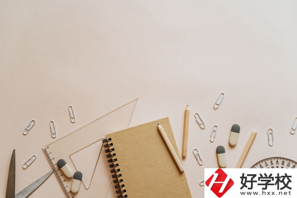 衡陽(yáng)計(jì)算機(jī)學(xué)校計(jì)算機(jī)專(zhuān)業(yè)好不好？