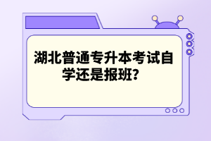 湖北普通專升本考試自學(xué)還是報班？
