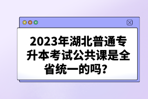 2023年湖北普通專升本考試公共課是全省統(tǒng)一的嗎？