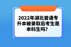 2022年湖北普通專升本被錄取后考生是本科生嗎？