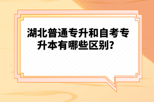 湖北普通專升和自考專升本有哪些區(qū)別？