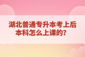 湖北普通專升本考上后本科怎么上課的？
