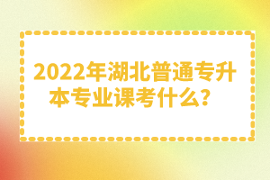 2022年湖北普通專升本專業(yè)課考什么？