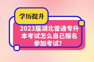 2023屆湖北普通專升本考試怎么自己報名參加考試？