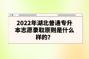 2022年湖北普通專升本志愿錄取原則是什么樣的？