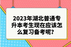 2023年湖北普通專升本考生現(xiàn)在應(yīng)該怎么復(fù)習(xí)備考呢？