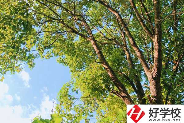衡陽(yáng)南華科技學(xué)校教學(xué)質(zhì)量怎么樣？