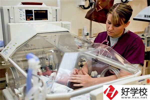 湖南中職學校開設最多的專業(yè)有哪些？就業(yè)前景怎么樣？