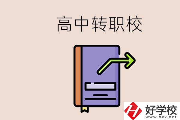 有在讀高中不想讀轉(zhuǎn)職校的例子嗎？能轉(zhuǎn)到湖南職校嗎？
