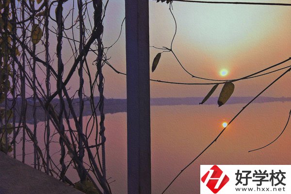 張家界的中職學(xué)校學(xué)什么專業(yè)好？哪些專業(yè)前景佳？