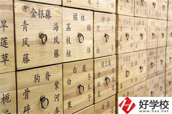 湖南省哪些中職有中藥專業(yè)？