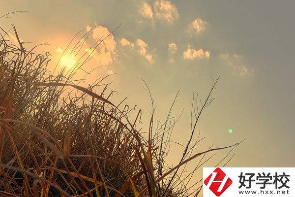 衡陽(yáng)市瀟湘衛(wèi)生中等專(zhuān)業(yè)學(xué)校宿舍環(huán)境以及食堂怎么樣？
