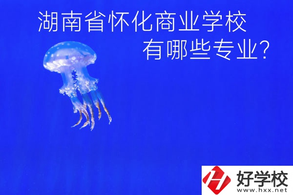 湖南省懷化商業(yè)學(xué)校好不好？有哪些專業(yè)？