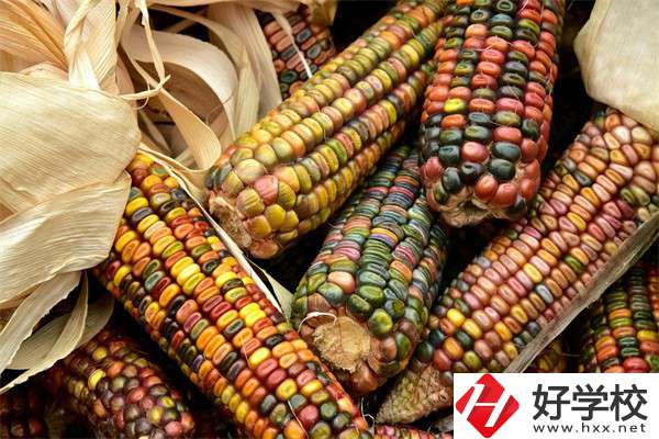 岳陽(yáng)中職學(xué)校哪些專業(yè)好？有什么學(xué)校推薦？