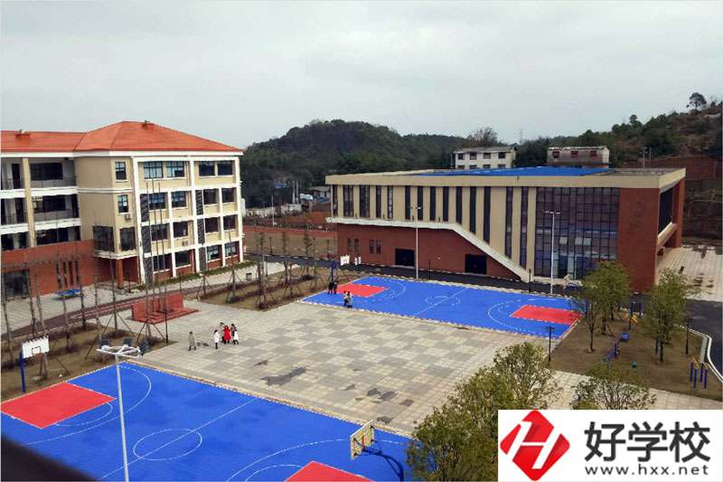 株洲市特殊教育學?；@球場