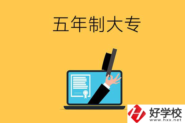 湖南有哪些比較好的五年制大專(zhuān)學(xué)校？看看這4所！