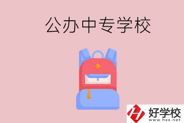婁底有什么公辦中專學(xué)校？教學(xué)怎么樣？