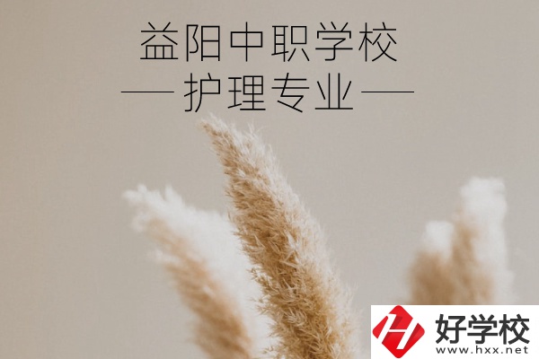 益陽護理專業(yè)的中職學校有哪些？需要哪些要求？