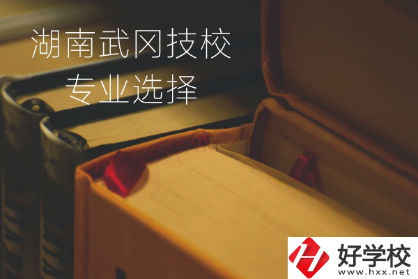 湖南武岡技校怎么樣？有哪些專業(yè)可以選擇？