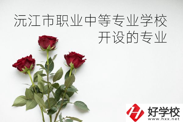 沅江市職業(yè)中等專業(yè)學(xué)校怎么樣？開設(shè)哪些專業(yè)？