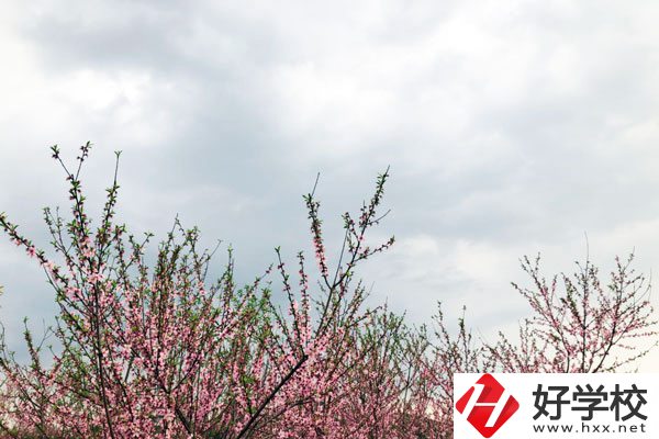 想在邵陽(yáng)讀中專(zhuān)，有哪些學(xué)校推薦？