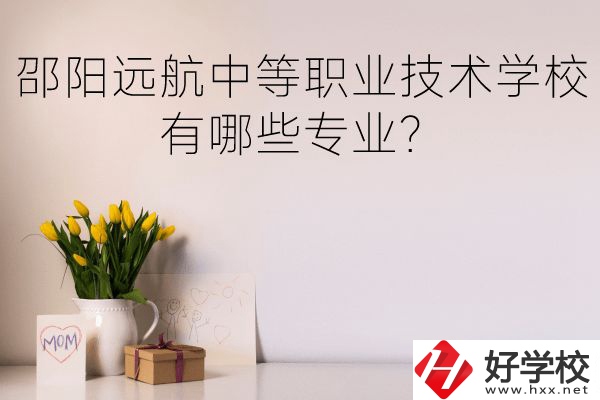 邵陽遠(yuǎn)航中等職業(yè)技術(shù)學(xué)校有哪些專業(yè)？